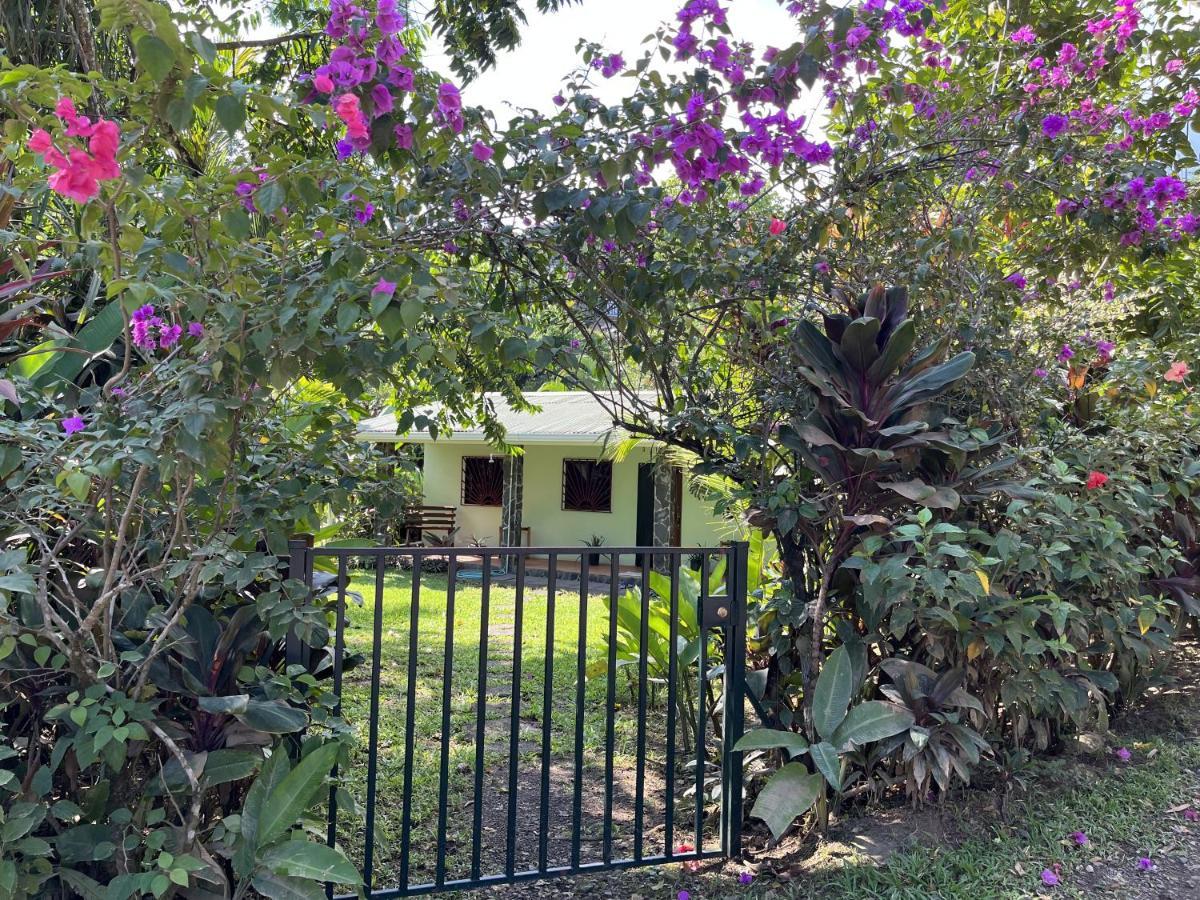 Vila Casita Corcovado Drakes Bay Exteriér fotografie